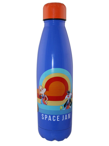 Space Jam Steel Bottle