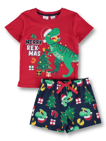 Toddler Boys Christmas Pyjama Set