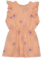 Toddler Girl Ruffle Sleeve Dress